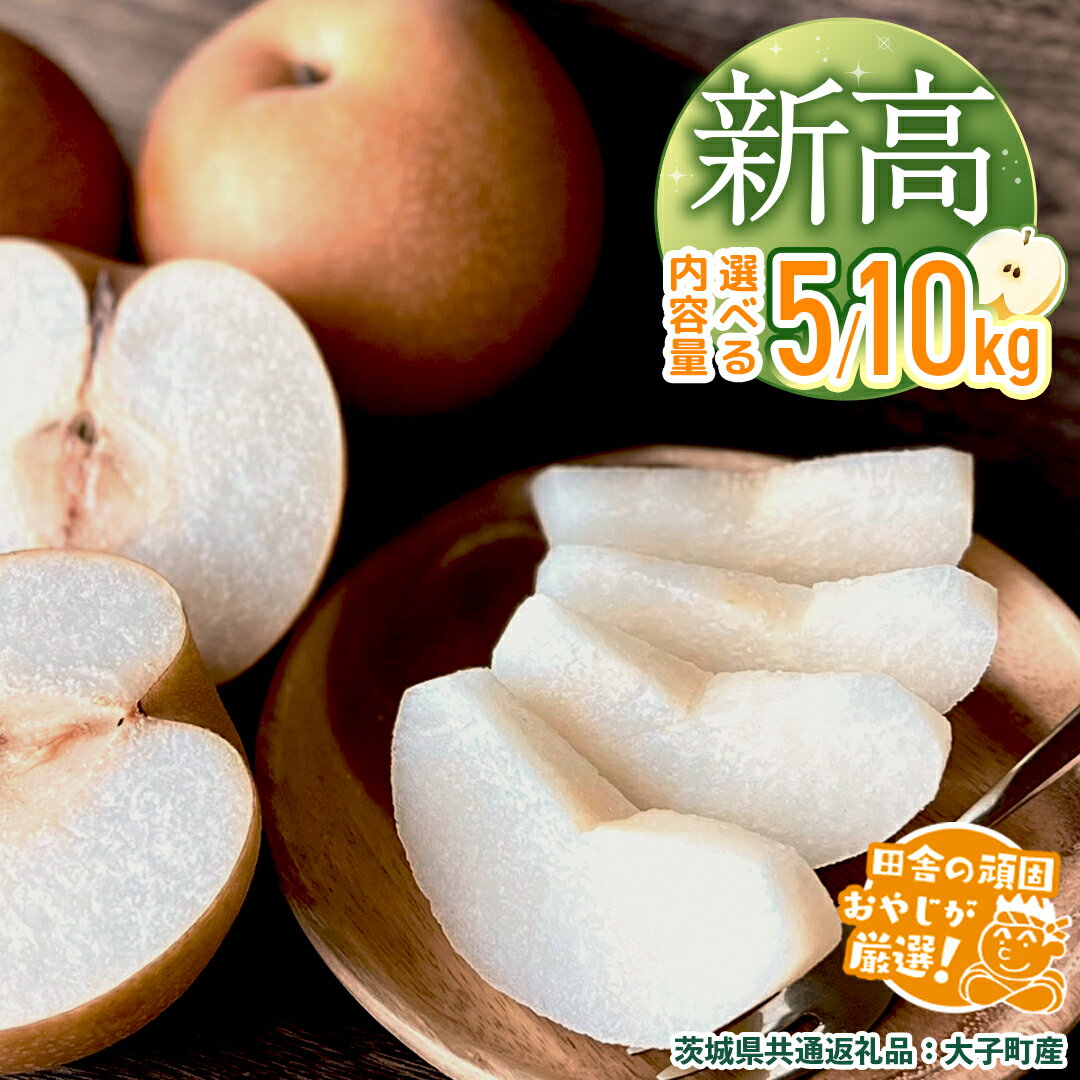 【ふるさと納税】＼ 選べる内容量 ／ 梨 新高 5kg / 10kg 【10月より発送開始】（茨城県