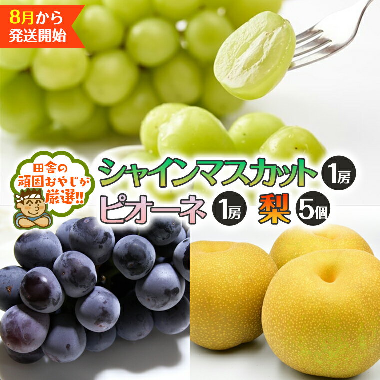 シャインマスカット1房 ピオーネ1房 梨 5個[令和6年8月より発送開始]田舎の頑固おやじが厳選! マスカット 種なし ぶどう ブドウ 葡萄 ギフト 高糖度 大粒 甘い フルーツ 美味しい