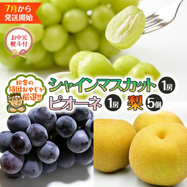 [お中元 熨斗付] シャインマスカット 1房 ピオーネ 1房 梨 5個 [令和6年7月より発送開始] 田舎の頑固おやじが厳選! シャインマスカット マスカット 種なし ぶどう ブドウ 葡萄 ピオーネ 梨 お中元 ギフト 高糖度 大粒