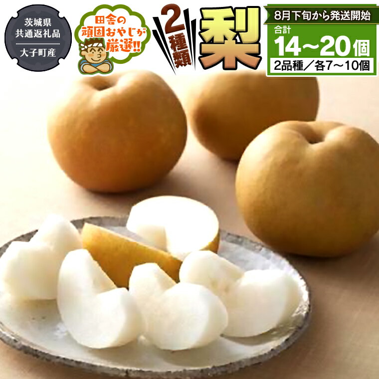 【ふるさと納税】梨 2種 セット 【8月下旬から発送開始】 （茨城県共通返礼品 [梨]：大子町産） 田舎の頑固おやじが厳選！フルーツ 果物 美味しい