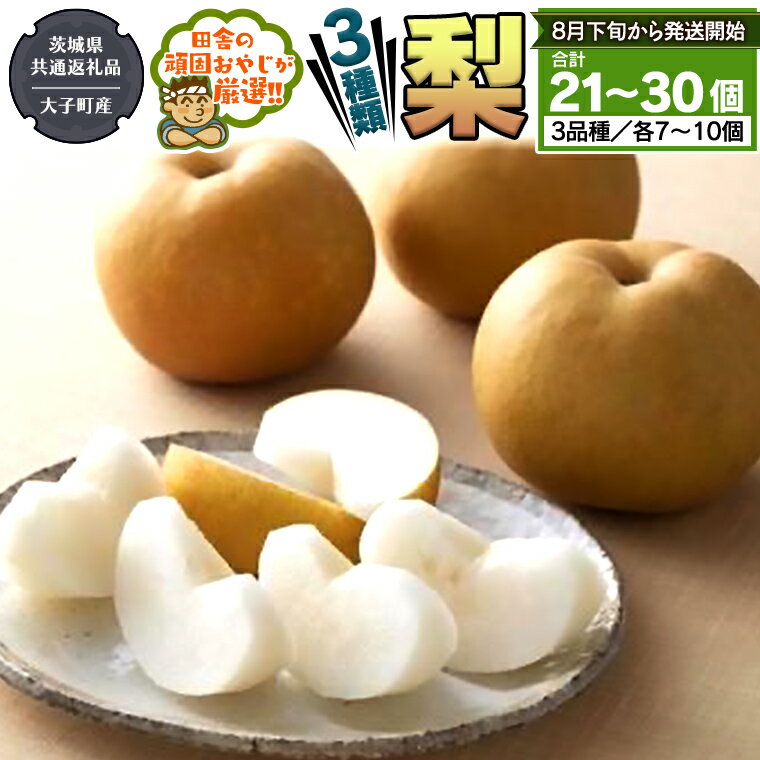 【ふるさと納税】梨 3種 セット 【8月下旬から発送開始】 （茨城県共通返礼品 [梨]：大子町産） 田舎...
