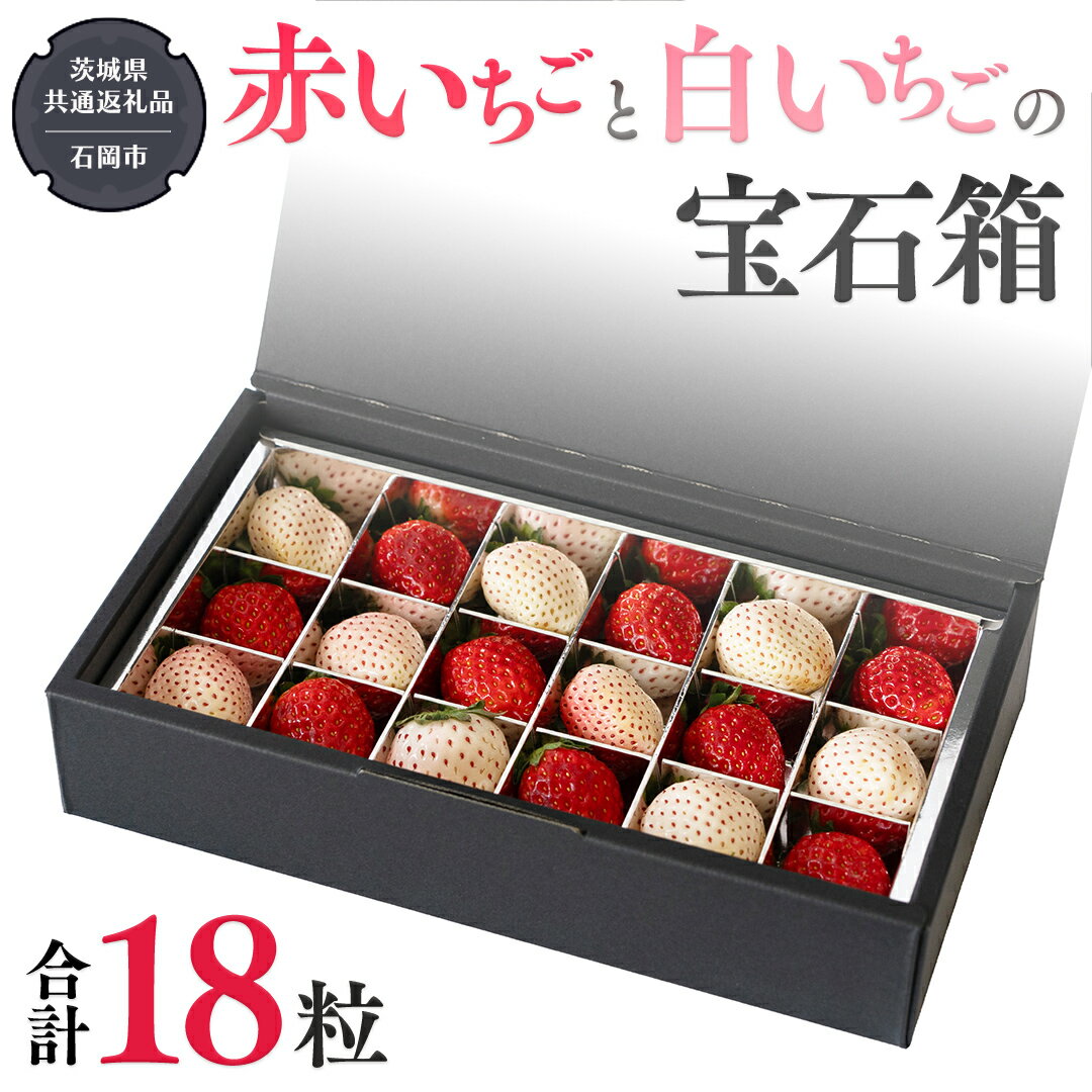 赤いちご と 白いちご の宝石箱 18粒 [令和6年12月から発送開始](県内共通返礼品:石岡市産) 果物 フルーツ いちご イチゴ 苺 白苺 贈答 ギフト