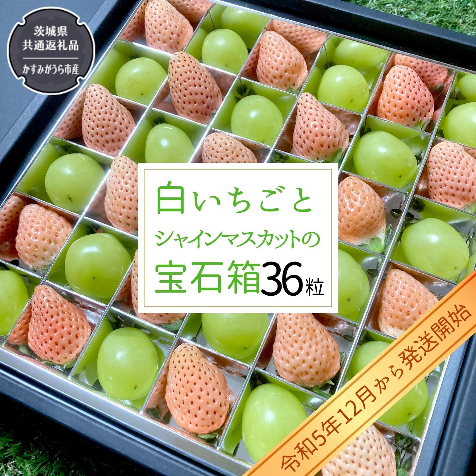 【ふるさと納税】白いちご と シャインマスカット の 宝石箱 36粒 【令和5年12月から発送開始】（県内共通返礼品：かすみがうら市産） 果物 フルーツ いちご イチゴ 白苺 ぶどう マスカット ギフト プレゼントのサムネイル
