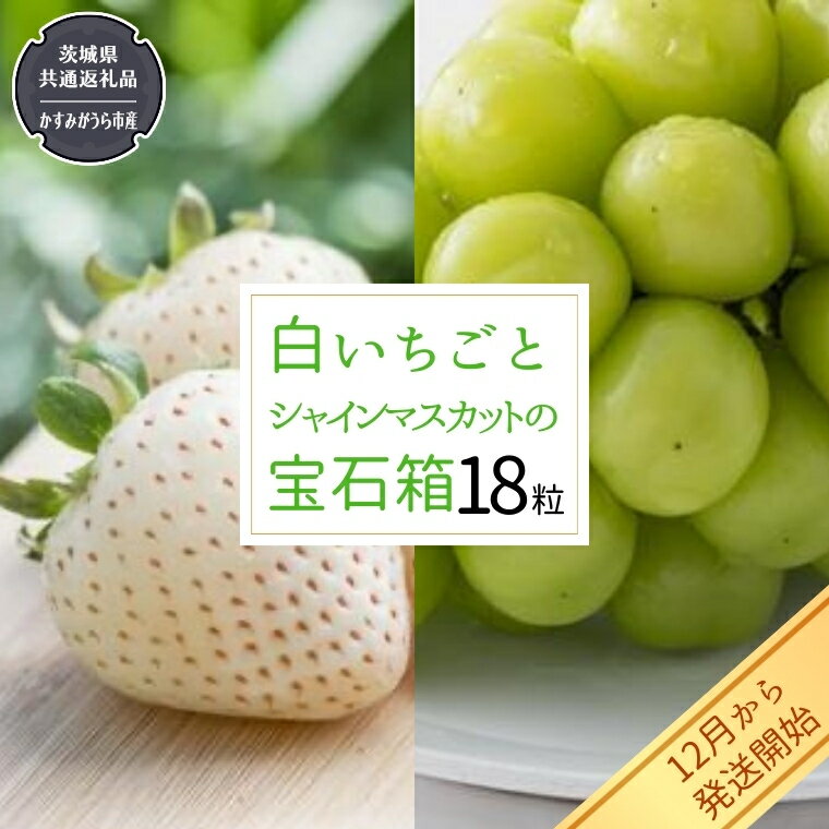 【ふるさと納税】白いちご と シャインマスカット の 宝石箱 18粒 【令和6年12月から発送開始】（県内共通返礼品：かすみがうら市産） 果物 フルーツ いちご イチゴ 白苺 ぶどう マスカット ギフト プレゼント