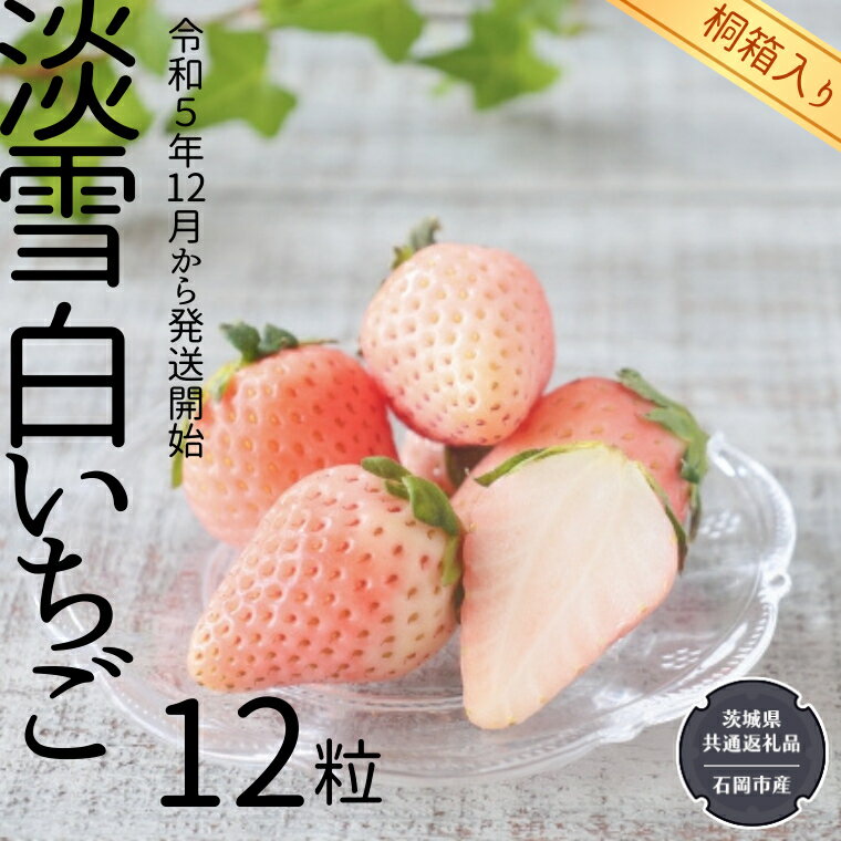 【ふるさと納税】淡雪 白いちご 桐箱入り 12粒 【令和5年12月から発送開始】 （県内共通返礼品：石岡市産） フルーツ 果物 デザート いちご イチゴ 苺 白苺 季節 桐箱 贈答