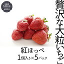 【ふるさと納税】贅沢な大粒いちご （ 紅ほっぺ ） 1個入り× 5パック 【令和5年12月から発送開始】 （県内共通返礼品：石岡市産） フルーツ 果物 デザート いちご イチゴ 苺 季節