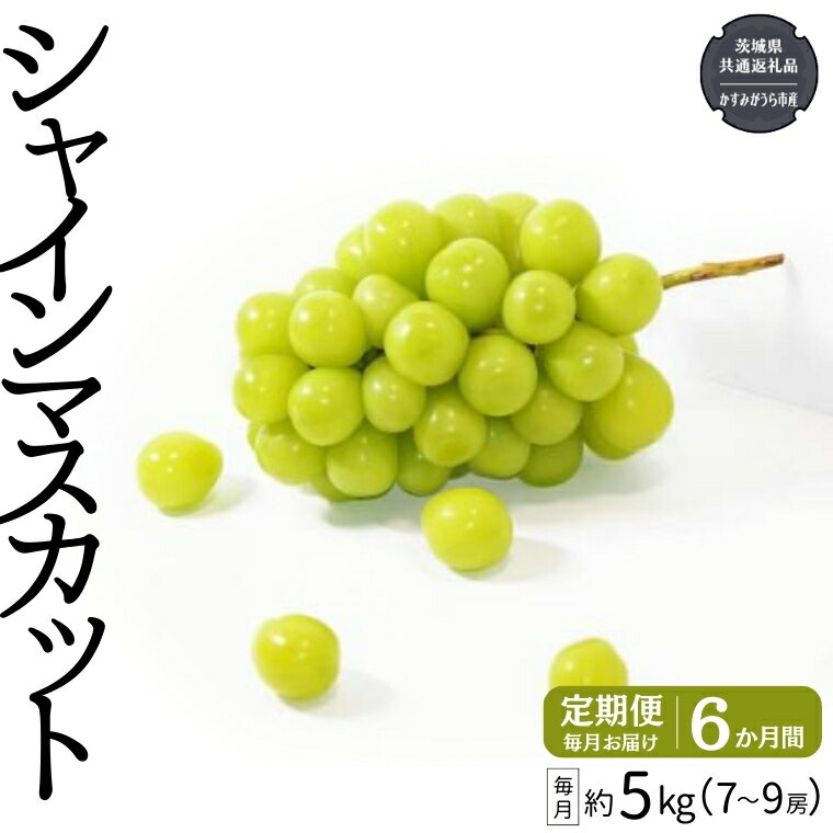【ふるさと納税】【定期便】 シャインマスカット 7～9房(約5kg) × 6か月連続お届け！ 【2025年8月から発送開始】 （茨城県共通返礼品 [ぶどう]：かすみがうら市産） 定期便 毎月 シャインマスカット マスカット ぶどう ブドウ フルーツ 果物