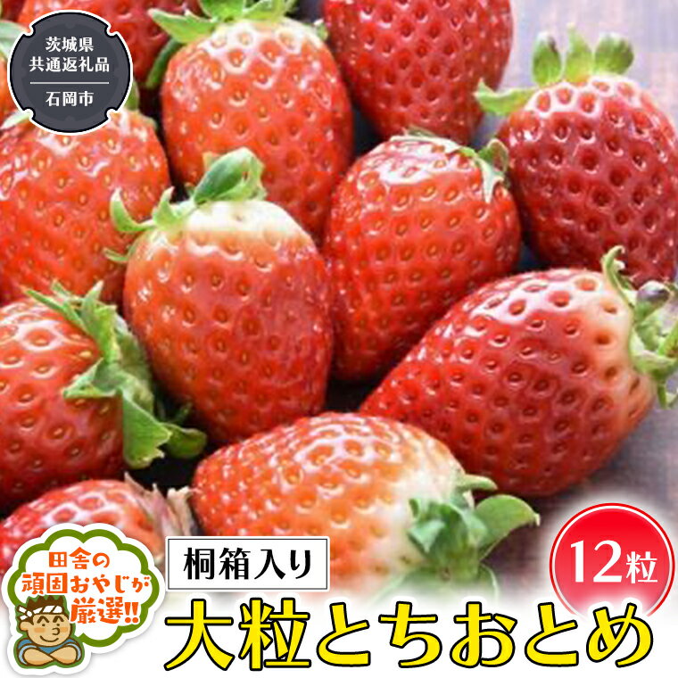 【ふるさと納税】【桐箱入り】大粒とちおとめ12粒【令和6年1