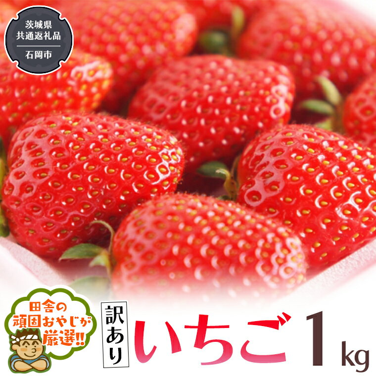 【ふるさと納税】【訳あり】いちご 1kg 【令和5年12月から発送開始】（県内共通返礼品：石岡市産） いちご 苺 イチゴ 訳ありのサムネイル