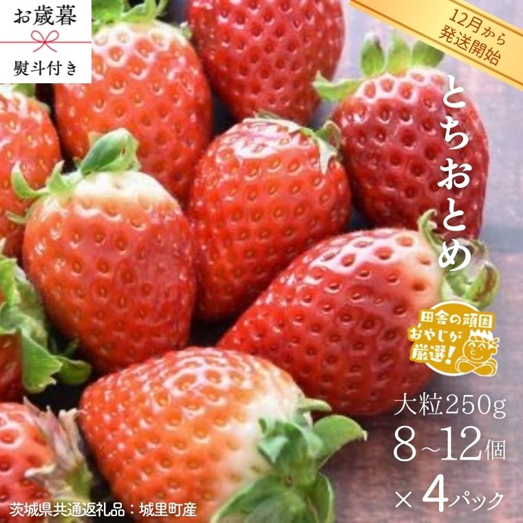 【ふるさと納税】【 お歳暮 熨斗付 】 とちおとめ 〈いちご〉 大粒 250g（8～12粒）×4パック【2025年12月から発送開始】（茨城県共通返礼品 [いちご]：城里町産） いちご 苺 イチゴ とちおとめ