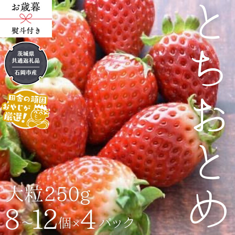 [ お歳暮 熨斗付 ] とちおとめ [いちご] 大粒 250g(8〜12粒)×4パック[令和6年12月から発送開始](県内共通返礼品:石岡市産) いちご 苺 イチゴ とちおとめ