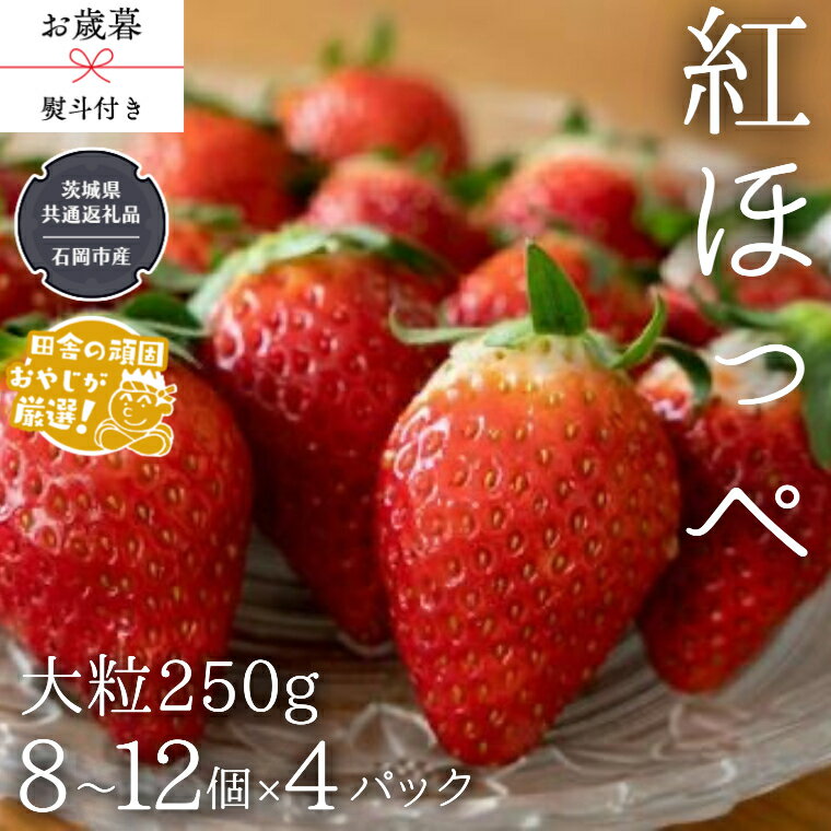 【ふるさと納税】【 お歳暮 熨斗付 】紅ほっぺ いちご 大粒 250g 8～12粒 4パック【令和6年12月から発送開始】 県内共通返礼品：石岡市産 いちご 苺 イチゴ 紅ほっぺ