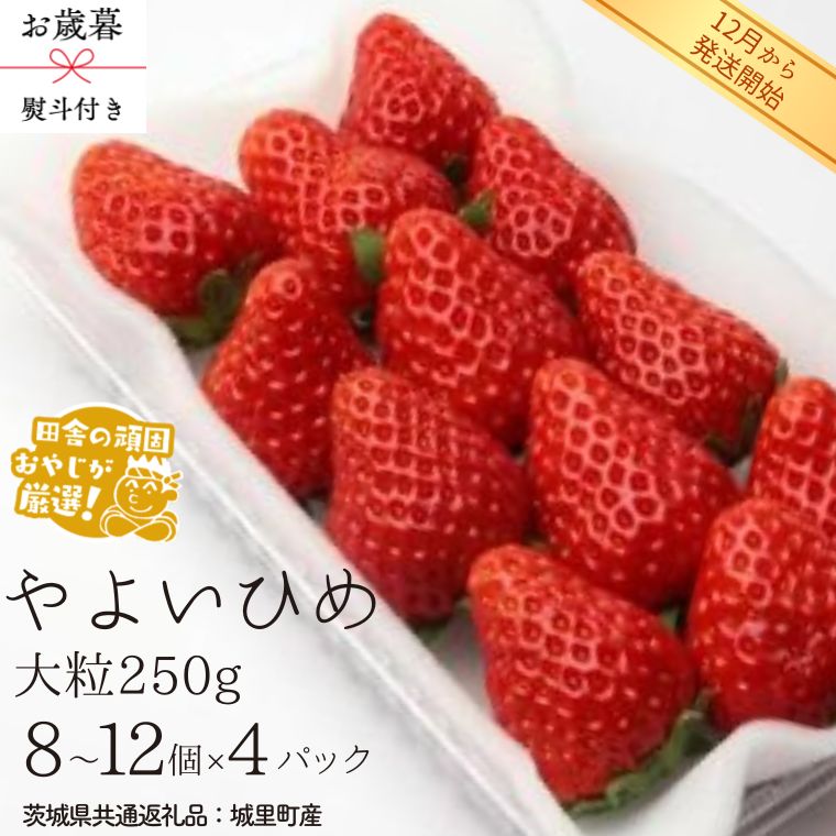 【ふるさと納税】【 お歳暮 熨斗付 】やよいひめ〈いちご〉大粒 250g（8～12粒）×4パック【2025年12月から発送開始】（茨城県共通返礼品 [いちご]：城里町産） いちご 苺 イチゴ やよいひめ