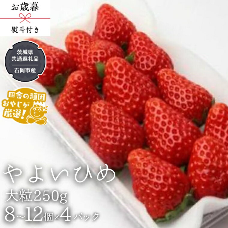 【 お歳暮 熨斗付 】やよいひめ〈いちご〉大粒 250g（8～12粒）×4パック【令和6年12月から発送開始】（県内共通返礼品：石岡市産） いちご 苺 イチゴ やよいひめ