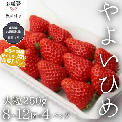 【 お歳暮 熨斗付 】やよいひめ〈いちご〉大粒 250g（8～12粒）×4パック【令和6年12月から発送開始】（県内共通返礼品：石岡市産） いちご 苺 イチゴ やよいひめ