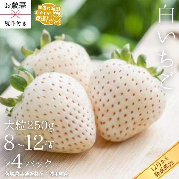 【ふるさと納税】【 お歳暮 熨斗付 】白いちご大粒 250g（8～12粒）×4パック【2025年12月から発送開始】（茨城県共通返礼品 [いちご]：城里町産） いちご 苺 イチゴ 白いちご