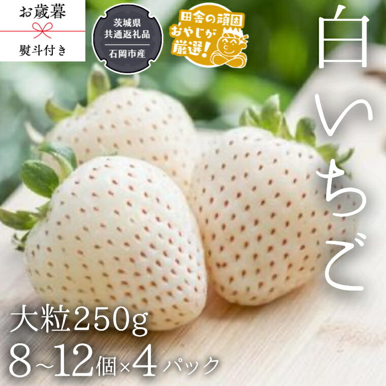 [ お歳暮 熨斗付 ]白いちご大粒 250g(8〜12粒)×4パック[令和6年12月から発送開始](県内共通返礼品:石岡市産) いちご 苺 イチゴ 白いちご