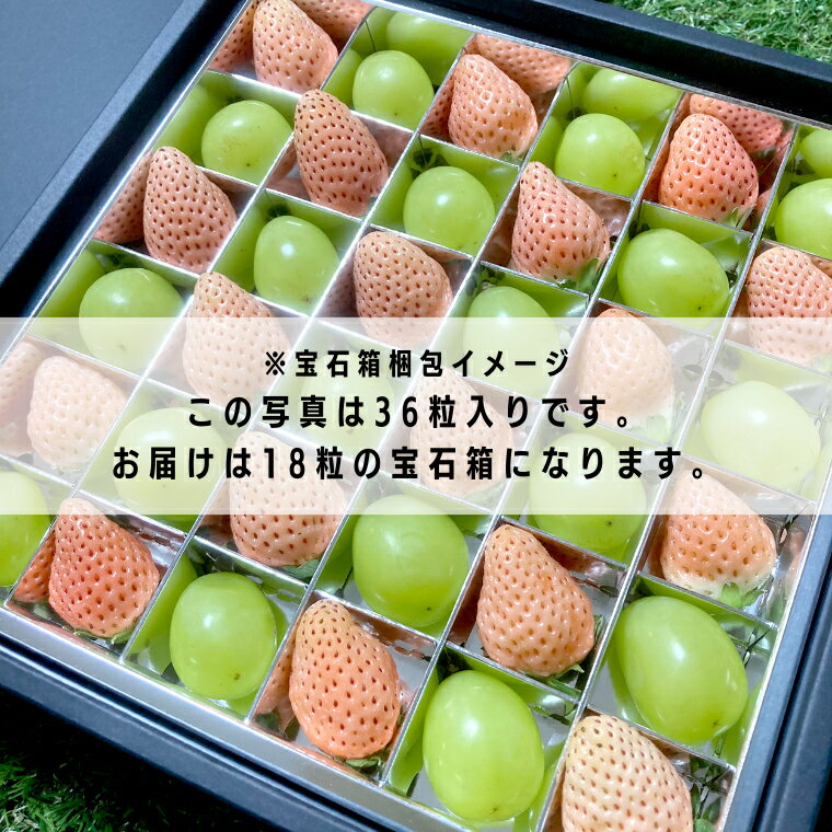 【ふるさと納税】【 お歳暮 熨斗付 】 シャインマスカットと白いちごの 宝石箱 18粒【令和6年12月から発送開始】（県内共通返礼品：石岡市産） いちご 苺 イチゴ 白いちご 白イチゴ シャインマスカット マスカット 宝石箱