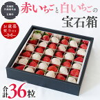 【ふるさと納税】【 お歳暮 熨斗付 】赤いちご と 白いちごの宝石箱 36粒 【令和6年12月から発送開始】（県内共通返礼品：石岡市産） いちご 苺 イチゴ 白いちご 白イチゴ 宝石箱