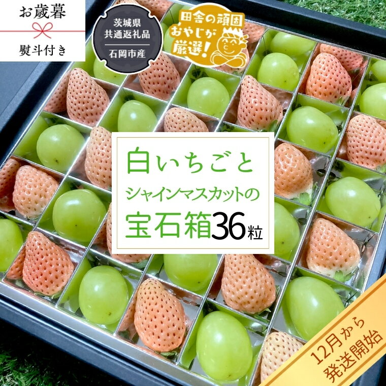 【ふるさと納税】【 お歳暮 熨斗付 】シャインマスカットと白いちごの宝石箱 36粒【令和6年12月から発送開始】（県内共通返礼品：石岡市産） いちご 苺 イチゴ 白いちご 白イチゴ シャインマスカット マスカット 宝石箱