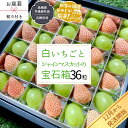 46位! 口コミ数「0件」評価「0」【 お歳暮 熨斗付 】シャインマスカットと白いちごの宝石箱 36粒【令和6年12月から発送開始】（県内共通返礼品：石岡市産） いちご 苺 イ･･･ 