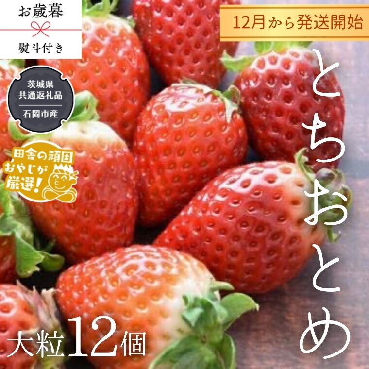 【ふるさと納税】【 お歳暮 熨斗付 】【 桐箱入り 】大粒とちおとめ 12粒 【令和6年12月から発送開始】（県内共通返礼品：石岡市産） いちご イチゴ 苺 とちおとめ