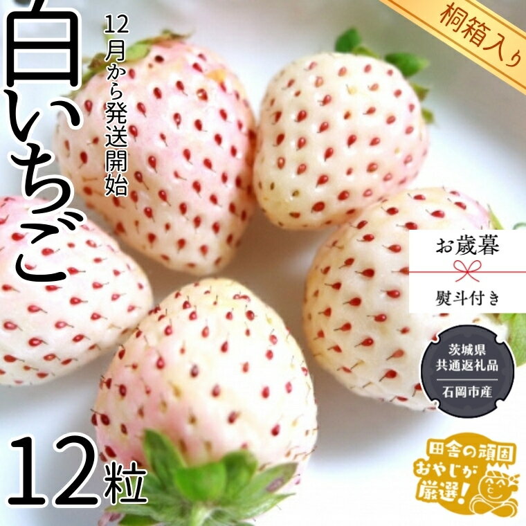 【ふるさと納税】【 お歳暮 熨斗付 】【 桐箱入り 】大粒白いちご 12粒【令和6年12月から発送開始】 県内共通返礼品：石岡市産 いちご イチゴ 苺 白イチゴ 白いちご