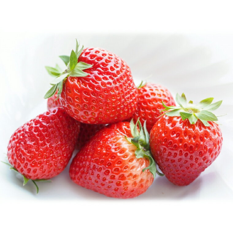 【ふるさと納税】【 お歳暮 熨斗付 】赤いちごとシャインマスカットの宝石箱 36粒【2025年12月から発送開始】（茨城県共通返礼品 [いちご]：城里町産　[ぶどう]：結城市） いちご 苺 イチゴ 白いちご 白イチゴ シャインマスカット マスカット 宝石箱