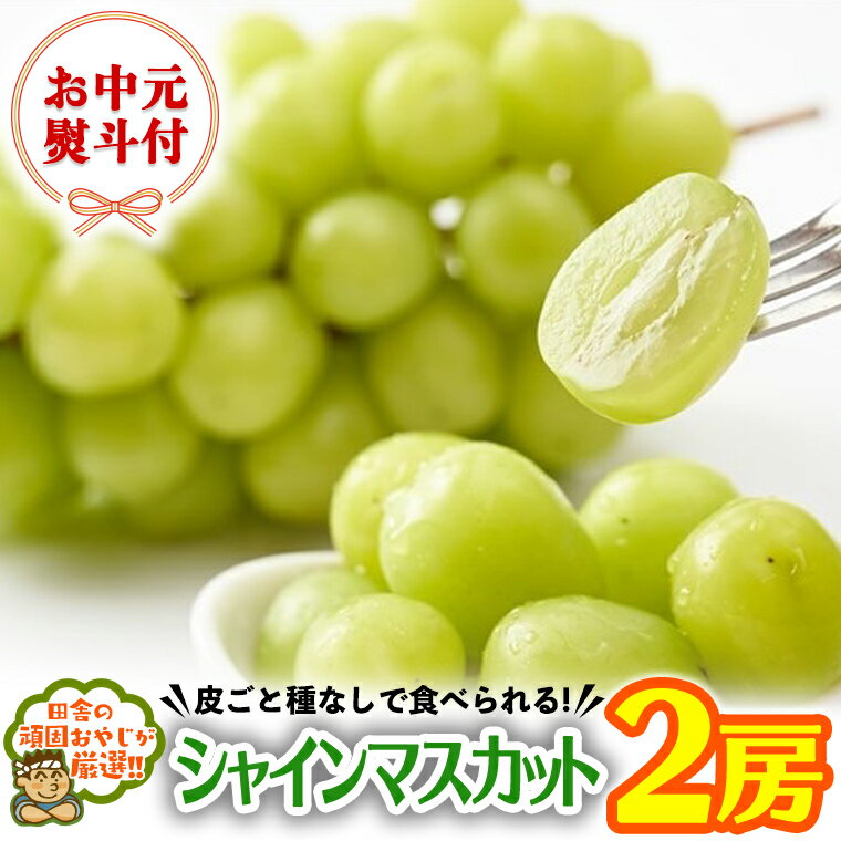 [お中元熨斗付]田舎の頑固おやじが厳選!シャインマスカット2房[令和6年8月上旬発送] ギフト フルーツ 果物 ぶどう 葡萄