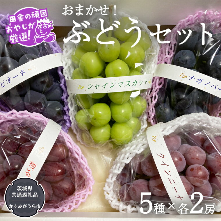 【ふるさと納税】おまかせ！ぶどうセット 5品種×各2房【令和6年9月より発送開始】（茨城県共通返礼品...