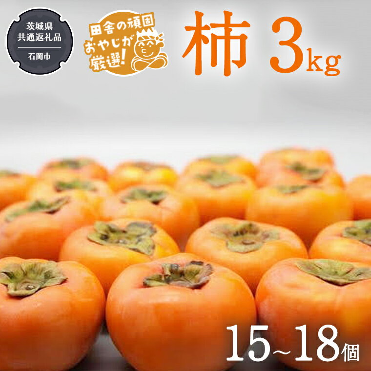 柿 3kg(15〜18個)[令和6年10月より発送開始](茨城県共通返礼品:石岡市産) 果物 フルーツ 茨城県産