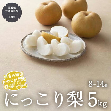 にっこり梨 5kg（8〜14個）【令和6年10月より発送開始】（茨城県共通返礼品：石岡市産） なし ナシ 果物 フルーツ 茨城県産