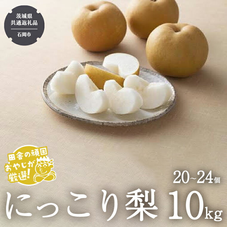 【ふるさと納税】にっこり梨 10kg（20〜24個）【令和6年10月より発送開始】（茨城県共通返礼品：石岡市産） なし ナシ 果物 フルーツ 茨城県産