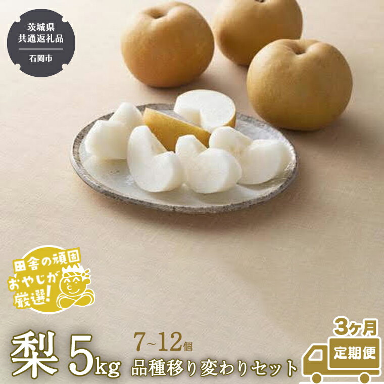 【ふるさと納税】【定期便】梨 5kg（7〜12個）品種移り変