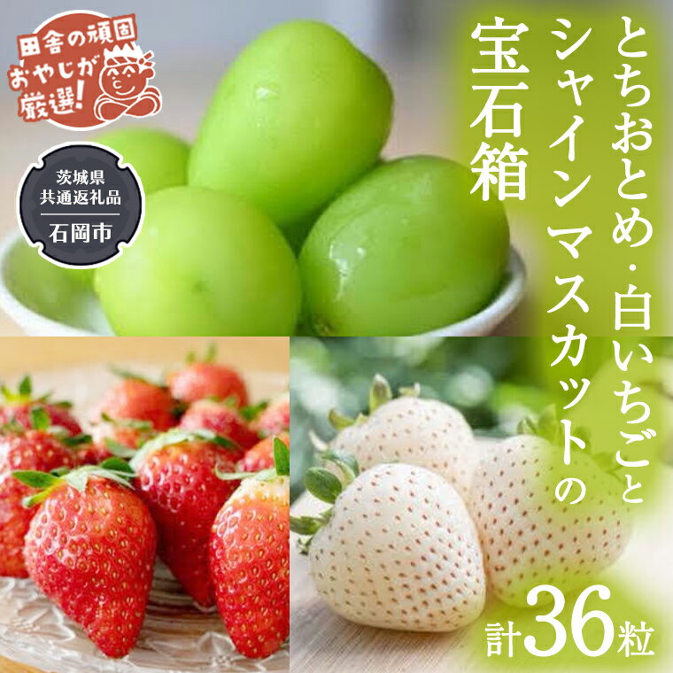 「粒々いちご36粒」とちおとめと白いちごとシャインマスカットの宝石箱[令和6年8月より発送開始](茨城県共通返礼品:石岡市産) 詰め合わせ 果物 フルーツ 茨城県産