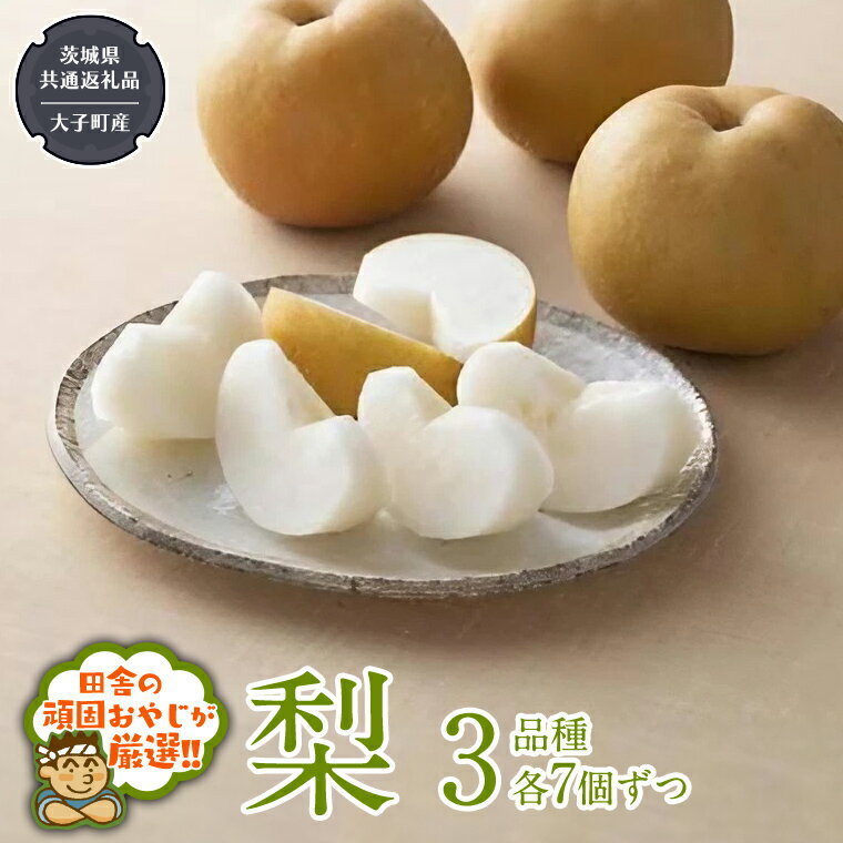 【ふるさと納税】梨 3品種（各7個）【8月より発送開始】（茨城県共通返礼品 [梨]：大子町産） なし ナ...