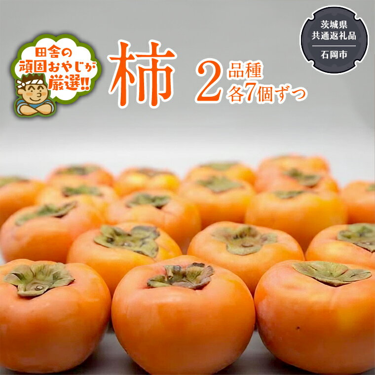 【ふるさと納税】柿 2品種 各7個 【令和6年10月中旬より発送開始】 茨城県共通返礼品：石岡市産 果物 フルーツ 茨城県産