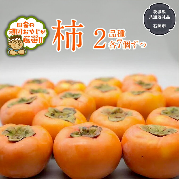 【ふるさと納税】柿 2品種(各7個)【10月中旬より発送開始】(茨城県共通返礼品:石岡市産) 果物 フルーツ 茨城県産