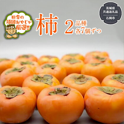 柿 2品種（各7個）【令和6年10月中旬より発送開始】（茨城県共通返礼品：石岡市産） 果物 フルーツ 茨城県産