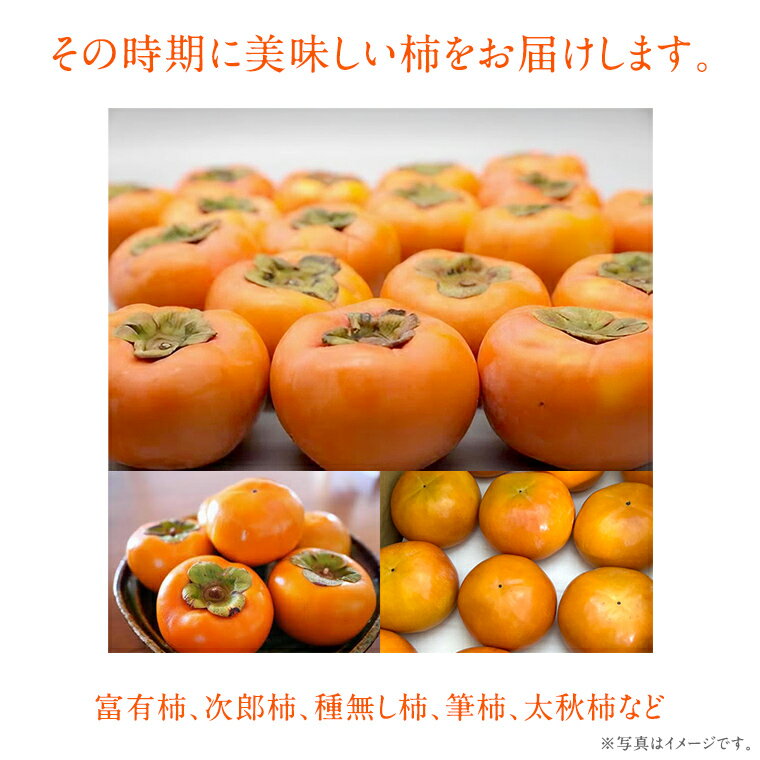 【ふるさと納税】柿 2品種（各7個）【10月中旬より発送開始】（茨城県共通返礼品：大子町産） 果物 フルーツ 茨城県産