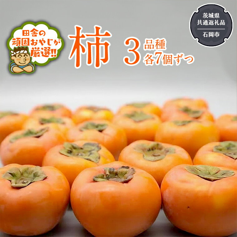 【ふるさと納税】柿 3品種食べ比べ 各7個 【令和6年10月中旬より発送開始】 茨城県共通返礼品：石岡市産 果物 フルーツ 茨城県産