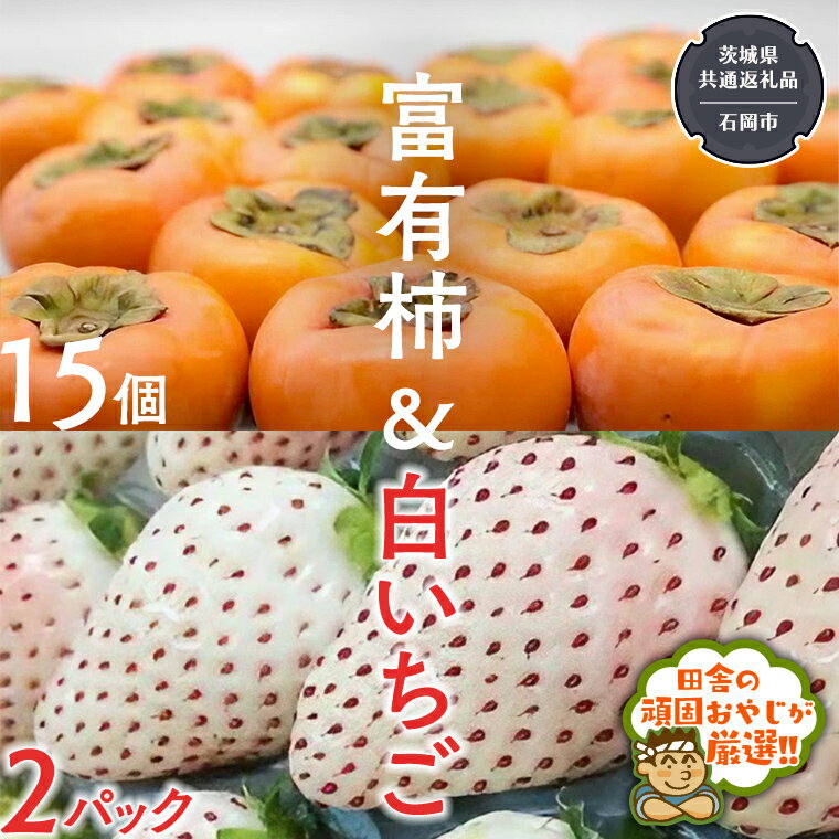 【ふるさと納税】富有柿15個 と 白いちご2パック 【令和6年12月より発送開始】（茨城県共通返礼品：石岡市産） 詰め合わせ 果物 フルーツ 茨城県産