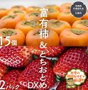 【ふるさと納税】富有柿15個 と とちおとめDX2pk 【令和6年11月より発送開始】（茨城県共通返礼品：石岡市産） 詰め合わせ 果物 フルーツ 茨城県産