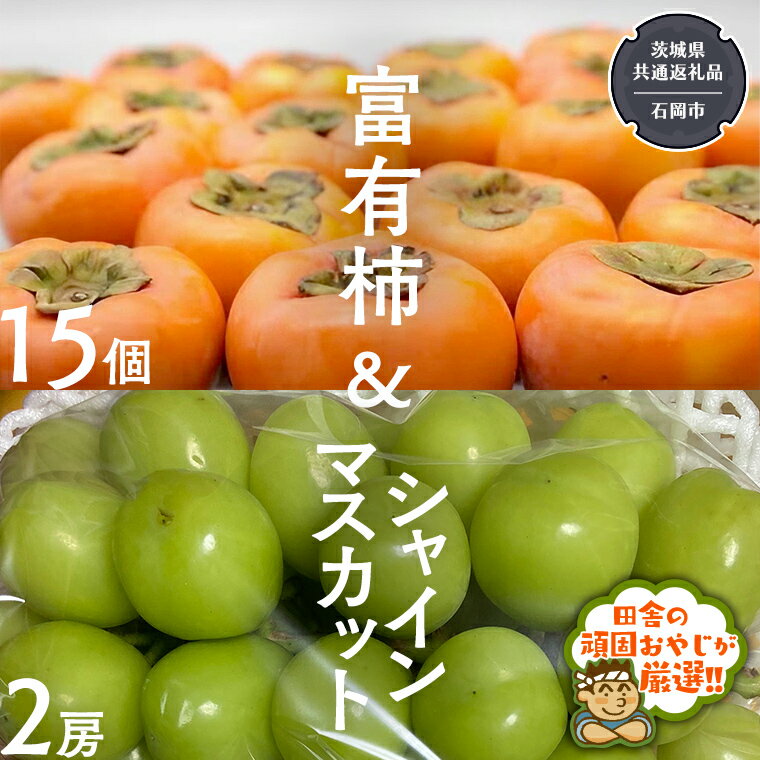 【ふるさと納税】富有柿15個 と シャインマスカット2房【令和6年11月より発送開始】（茨城県共通返礼品：石岡市産） 詰め合わせ 果物 フルーツ 茨城県産