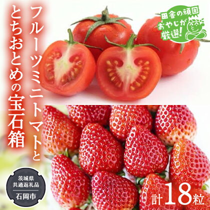 とちおとめ と フルーツミニトマトの宝石箱 18粒【令和7年1月から発送開始】（県内共通返礼品：石岡市産） 詰め合わせ 果物 フルーツ 茨城県産