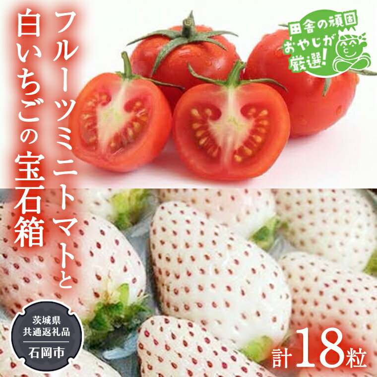 8位! 口コミ数「0件」評価「0」白いちご と フルーツミニトマトの 宝石箱 18粒 【令和7年1月から発送開始】（県内共通返礼品：石岡市産） 詰め合わせ 果物 フルーツ 茨･･･ 