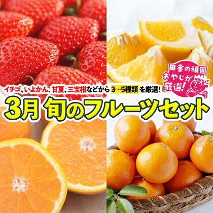 田舎の頑固おやじが厳選!旬のフルーツセット 3月号 ギフト フルーツ 果物 詰合せ