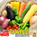 【ふるさと納税】田舎の頑固おやじ厳選！【定期便】旬の野菜詰め合わせセット3ヶ月に1回(計3回コース)