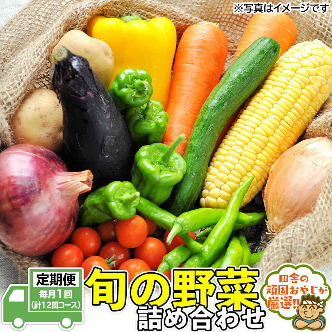 【ふるさと納税】田舎の頑固おやじ厳選！【定期便】旬の野菜詰め