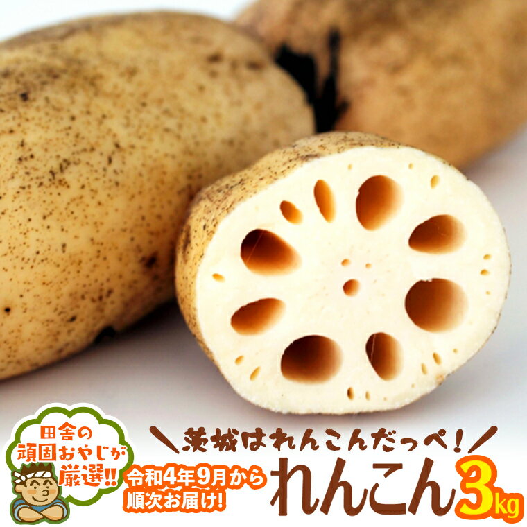 【ふるさと納税】茨城はれんこんだっぺ！れんこん3kg【令和4年9月から順次お届け】田舎の頑固おやじが厳選！